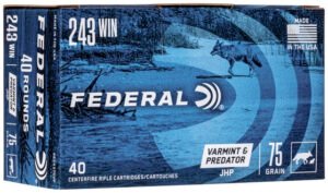 FED AMERICAN EAGLE V&P 243WIN 75GR JHP 40/5
