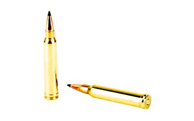 REM SPEER IMPACT 300WIN 190GR 20/200 - Image 4