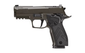 SIG P226 XLGN DA/SA 9MM 3.8 10RD GRY