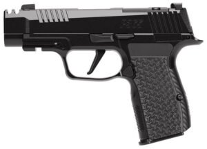 SIG P365 LUXE 380ACP BLK 3.1 OR AXG COMP 12RD