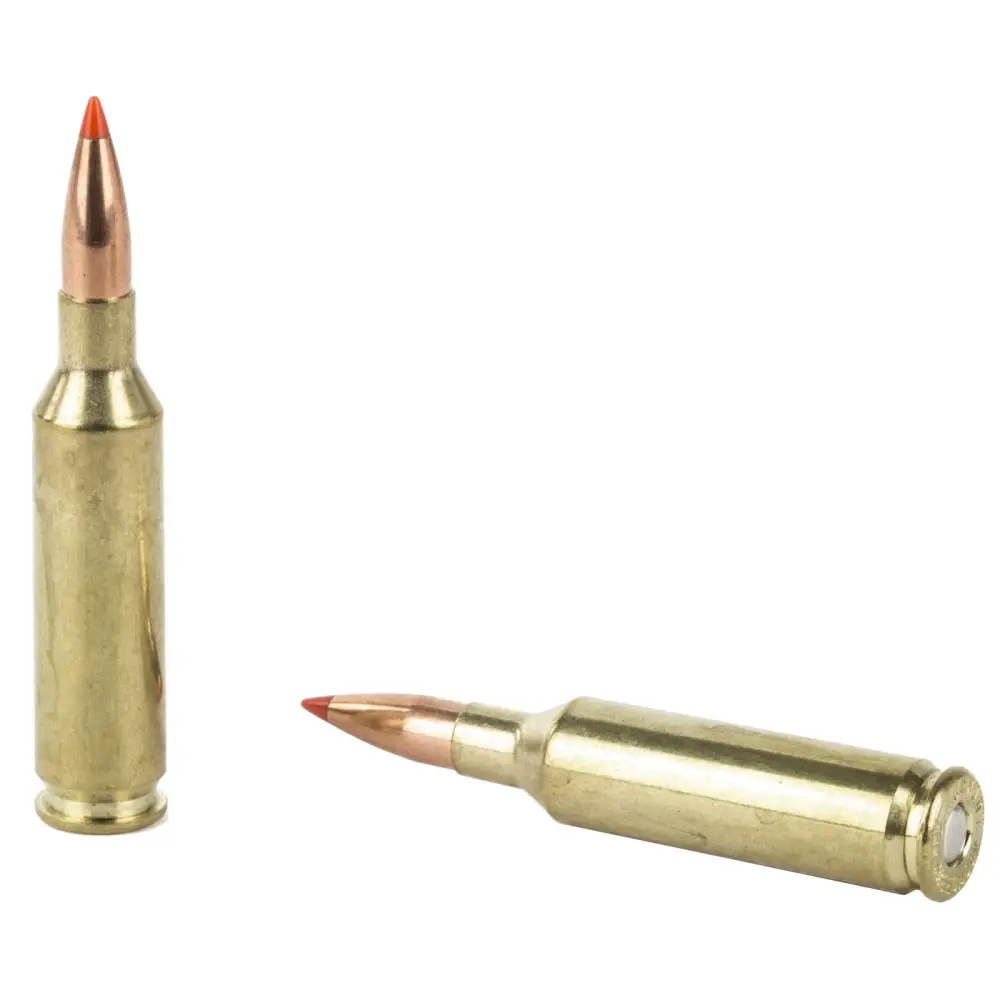 HORNADY VARMINT EXPRESS 6MM CREEDMOOR 87G VMAX 20RD BX 200RD CASE - Image 3