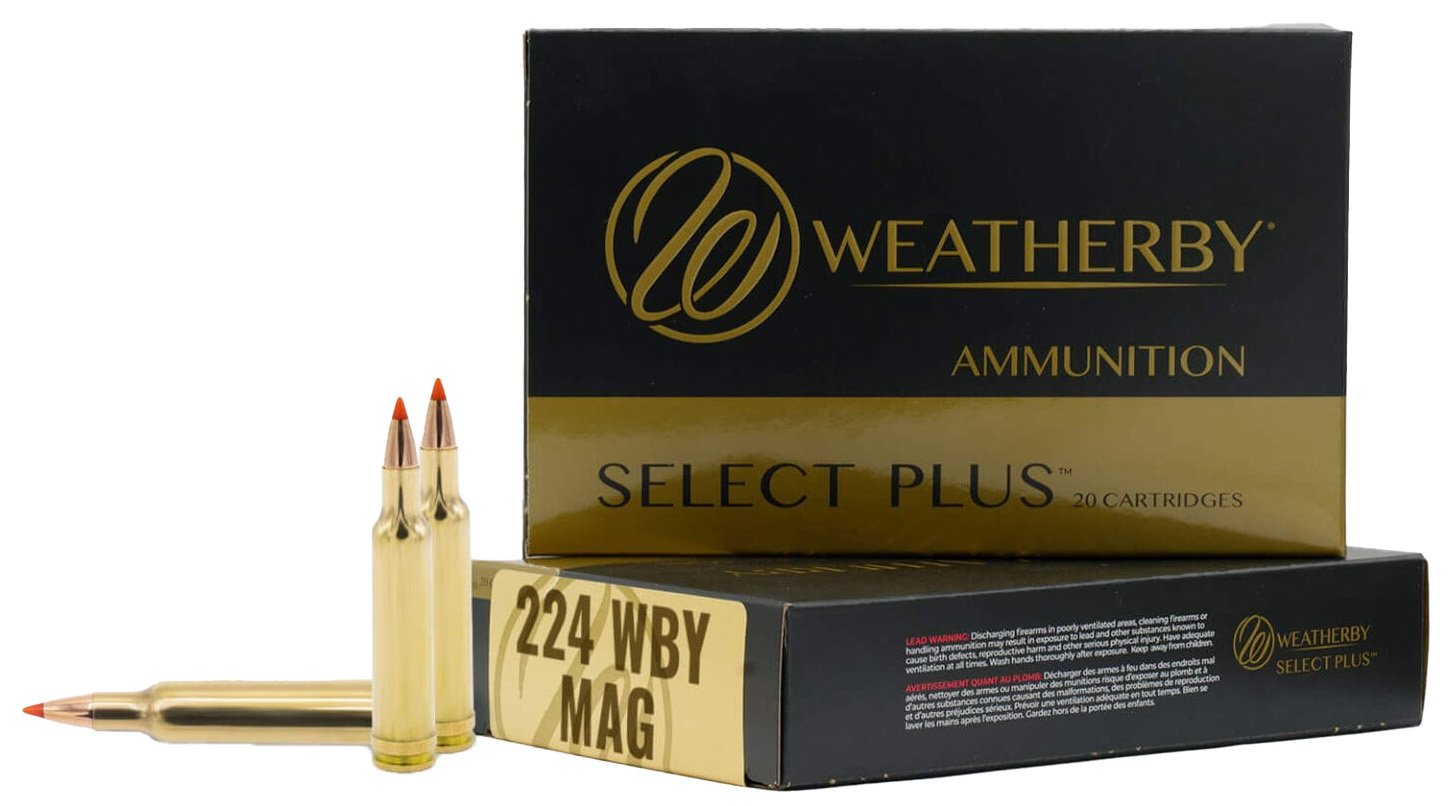WBY AMMO 224WBY 37GR HAMMER CUSTOM 20/10
