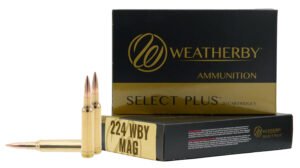 WBY AMMO 224WBY 80.5GR BERGER FBT 20/10