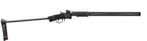 CHIAPPA FIREARMS LITTLE BADGER TDX 22LR 18" CF